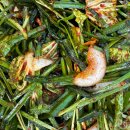 하이도시락식당 이미지
