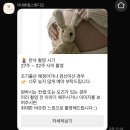 기록(출산 전 이사완료, 대전 임산부 필라테스 후기, 더네츄럴스튜디오 성장앨범 계약, 만삭사진 예약)