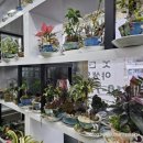 매소홀로 63 ∼ 매소홀로 63 이미지