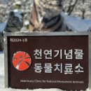 광주광역시 우치동물원 동물병원 이미지