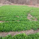 한진농장 이미지