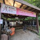 상구물자 | 8월 31일, 단양 달빛마라톤 다음 날 상원사 남대봉 등산, 그리고 회복런