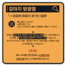 영도동물병원 이미지