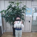 구암동165 이미지