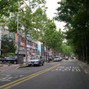 신정1지구대 옆 이미지