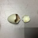 서울농원 이미지
