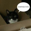 태희패션 | Happily Ever After