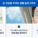 봄빛 안경 이미지