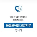 동물보육원 천안지부 | 고양이파양, 동물 보육원 고양지부와 함께한 책임 있는 선택