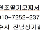 여수 딸기모찌 방앗간 이미지
