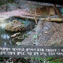 茶山다산, 丁若鏞정약용 [18] 茶山 4경 이미지