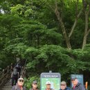 6월첫째일요일/터울방/서울대공원/청계산산림욕장 이미지