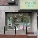 포테이토 독 이미지