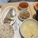 남1통 | 4. 세브란스 연세암병원 20대 갑상선암 전절제 절개 수술후기