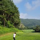 티안나의원 | 충주 스타CC 후기｜서울서 1시간20분, 평일 새벽티 그린피 6만원…골프는 이런 데서 쳐야지
