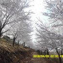 백세공원2 이미지