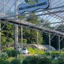 헬로우마켓 이미지