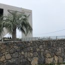 비에노즈 이미지