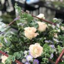 밀드플레 이미지