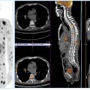 펫 유토피아 이미지
