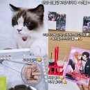 아이캔커피불당프라디움점 | 천안아이랑가볼만한곳 고양이카페 <캣플 천안불당점>