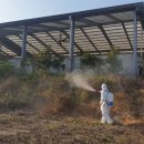 권영수 농장 이미지