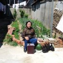 삼화이용소 이미지