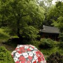 백일홍 민박집 이미지