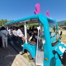 조아조아 | 양산 황산공원 무료 시범운행중인 생태관람차 투어