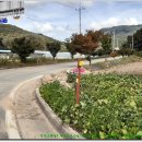 염북마을회관 이미지