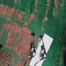 육암모터스 이미지