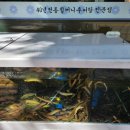 할머니추어탕자양점 네이버블로그