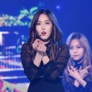 신비체육관 뉴스엔