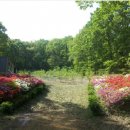 분당-398 이미지