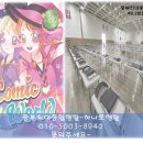 중부-현장-중부-329 이미지