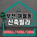 솔베이 이미지