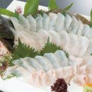놀리 이미지