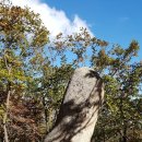 삼기중학교 | 금정산 자웅석계 그리고 남근석