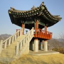 금나루