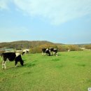 향수목장1 이미지