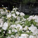 내체력 유도관 이미지