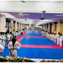 경희대 참태권도 이미지