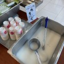 24년 4月 일상 : 봄봄봄 봄이 왔어요 in 부산