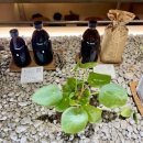 카페;그리다 - 용인시 기흥구 서천서로12번길 8-19 | [부산 중구｜대청동] 이재모피자 옆 로스터리 카페 그리다부부 후기 (아늑한 광복동 카페 추천)