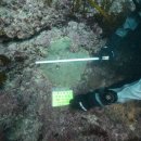 산호수산 이미지