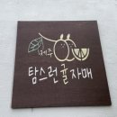 제주탐스런귤자매