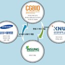 ㈜삼성개발 이미지