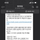 미르오토