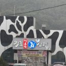 일마레변산리조트(B동) | 변산여행 채석강 격포항 맛집 회포장은 격포어촌계회센터B동 13호