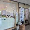 701아를고양이카페(cat in the art) | 하남고양이카페 701아를 고양이카페 아이랑